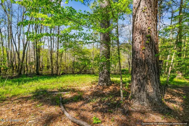 $1,275,000 | 21959 Hwy 80 Hickory Ms 39332, Hickory, MS 39332