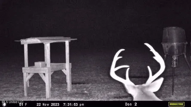 $1,275,000 | 21959 Hwy 80 Hickory Ms 39332, Hickory, MS 39332