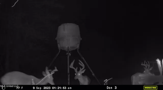 $1,275,000 | 21959 Hwy 80 Hickory Ms 39332, Hickory, MS 39332