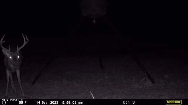 $1,275,000 | 21959 Hwy 80 Hickory Ms 39332, Hickory, MS 39332