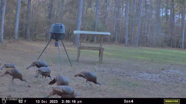 $1,275,000 | 21959 Hwy 80 Hickory Ms 39332, Hickory, MS 39332