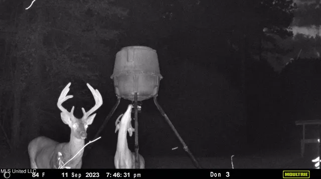 $1,275,000 | 21959 Hwy 80 Hickory Ms 39332, Hickory, MS 39332