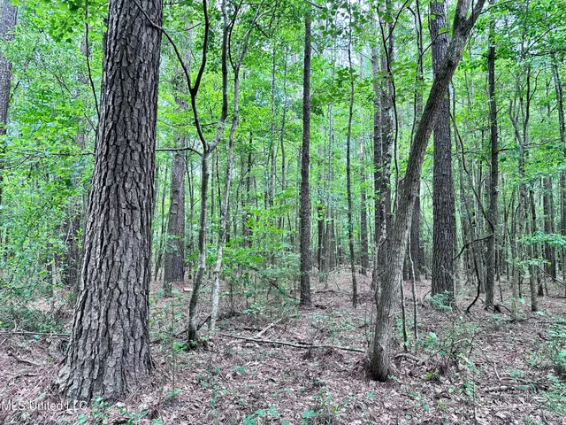 $1,275,000 | 21959 Hwy 80 Hickory Ms 39332, Hickory, MS 39332