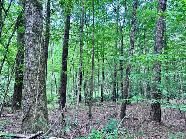 $1,275,000 | 21959 Hwy 80 Hickory Ms 39332, Hickory, MS 39332