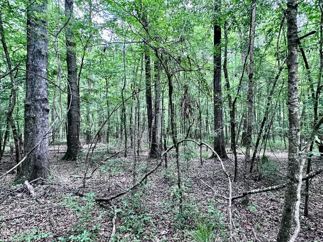 $1,275,000 | 21959 Hwy 80 Hickory Ms 39332, Hickory, MS 39332