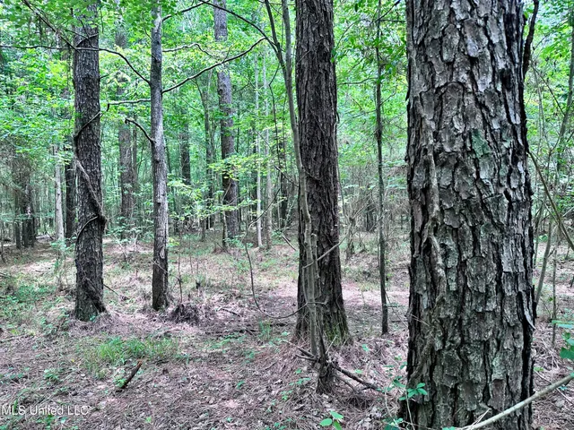 $1,275,000 | 21959 Hwy 80 Hickory Ms 39332, Hickory, MS 39332