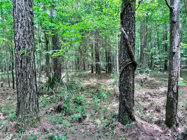 $1,275,000 | 21959 Hwy 80 Hickory Ms 39332, Hickory, MS 39332