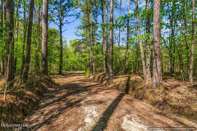 $1,275,000 | 21959 Hwy 80 Hickory Ms 39332, Hickory, MS 39332