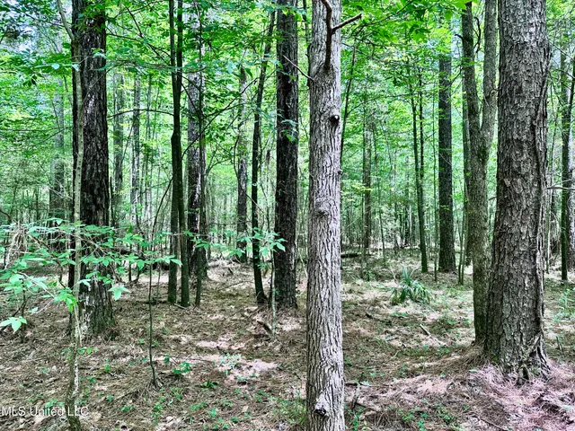 $1,275,000 | 21959 Hwy 80 Hickory Ms 39332, Hickory, MS 39332