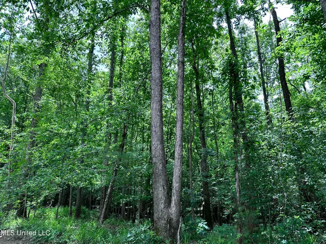 $1,275,000 | 21959 Hwy 80 Hickory Ms 39332, Hickory, MS 39332