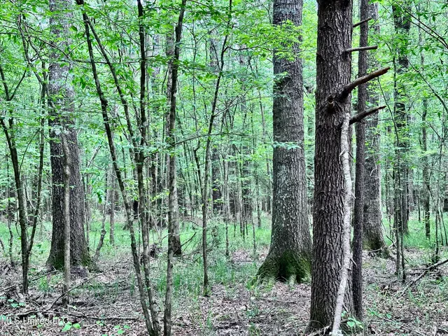 $1,275,000 | 21959 Hwy 80 Hickory Ms 39332, Hickory, MS 39332