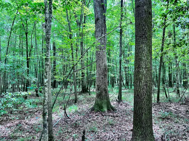 $1,275,000 | 21959 Hwy 80 Hickory Ms 39332, Hickory, MS 39332