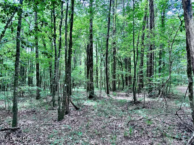 $1,275,000 | 21959 Hwy 80 Hickory Ms 39332, Hickory, MS 39332