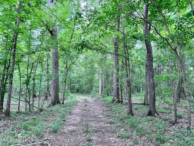 $1,275,000 | 21959 Hwy 80 Hickory Ms 39332, Hickory, MS 39332