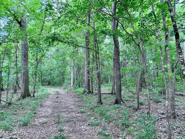 $1,275,000 | 21959 Hwy 80 Hickory Ms 39332, Hickory, MS 39332