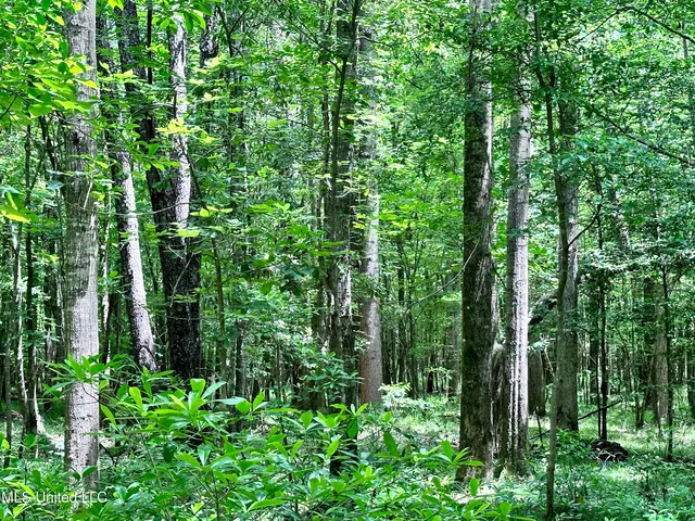 $1,275,000 | 21959 Hwy 80 Hickory Ms 39332, Hickory, MS 39332