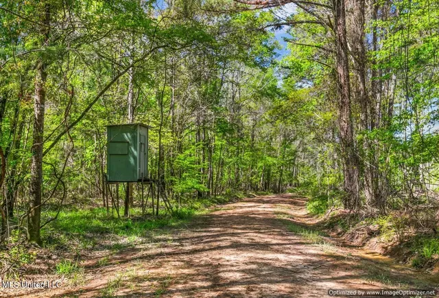 $1,275,000 | 21959 Hwy 80 Hickory Ms 39332, Hickory, MS 39332