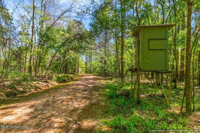 $1,275,000 | 21959 Hwy 80 Hickory Ms 39332, Hickory, MS 39332