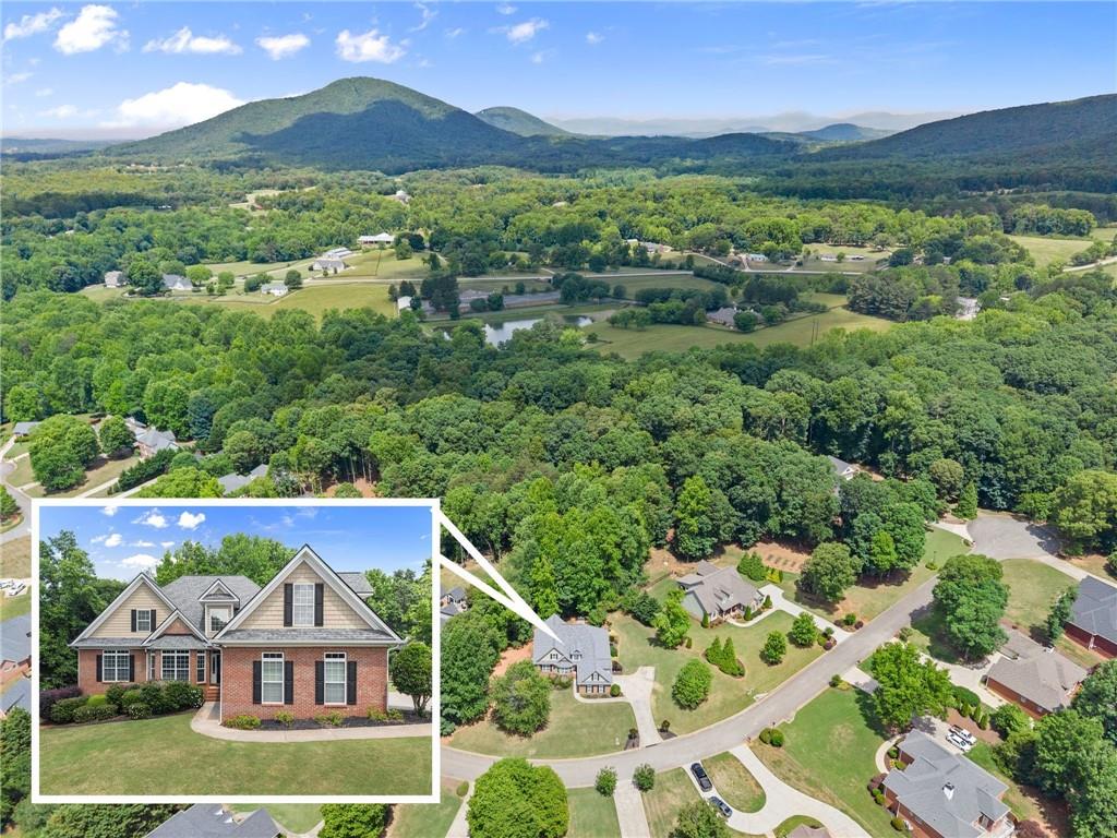 6643 Windvane Point Clermont, GA 30527 - Photo 69 of 88 an aerial view of house with yard