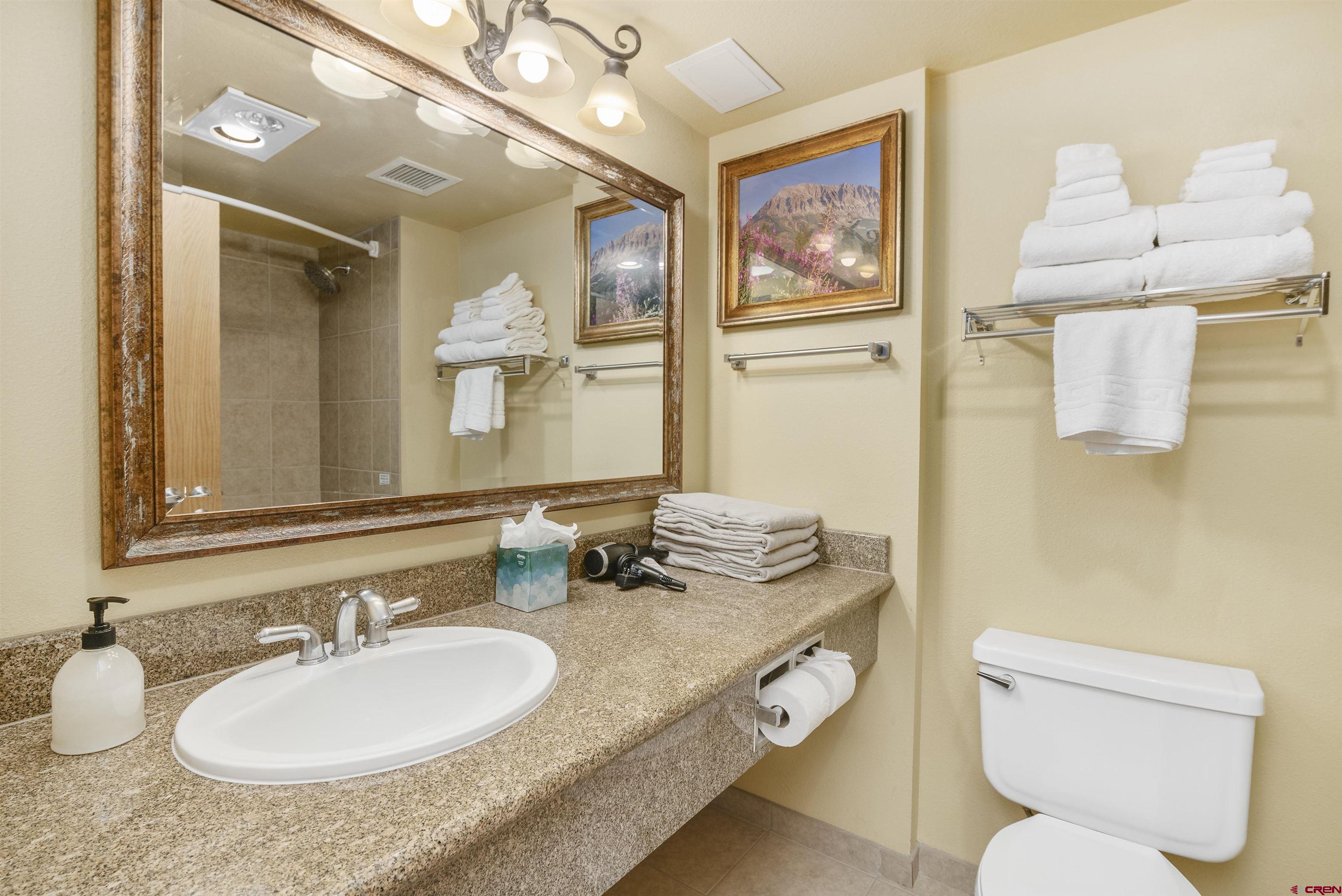 6 Emmons Road, Unit 314 Crested Butte, CO 81225 - Photo 20 of 29
