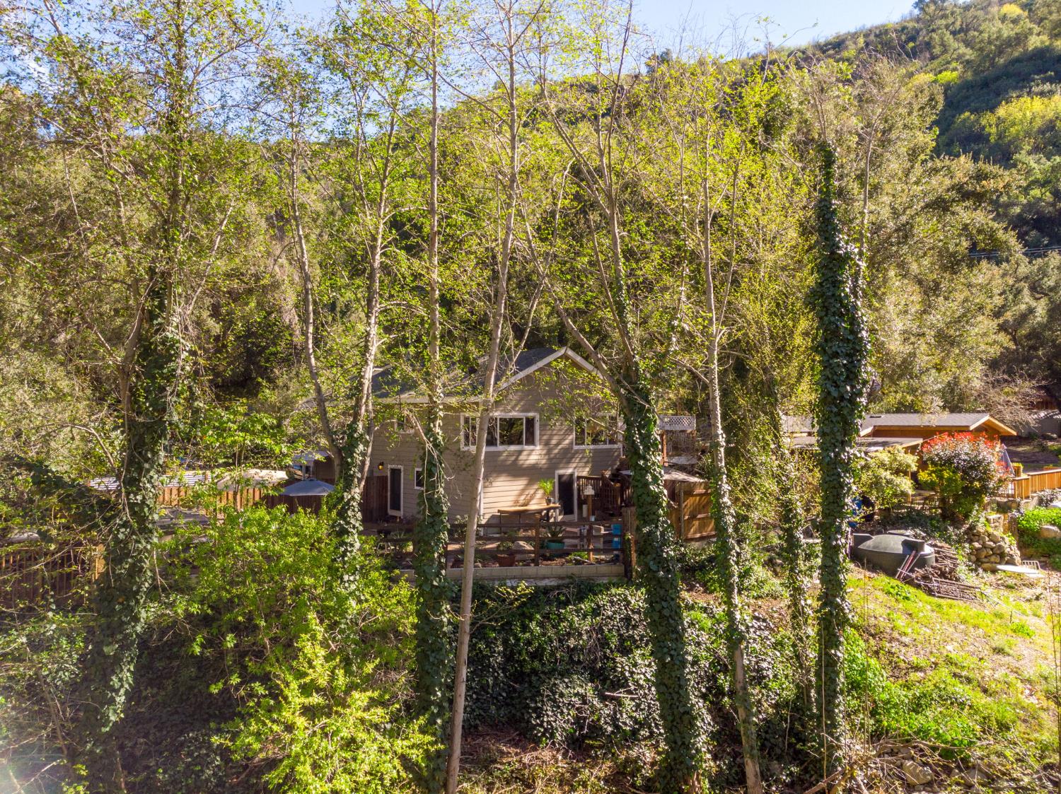 15663 Ojai Road Santa Paula, CA 93060 - Photo 45 of 47 a view of a yard