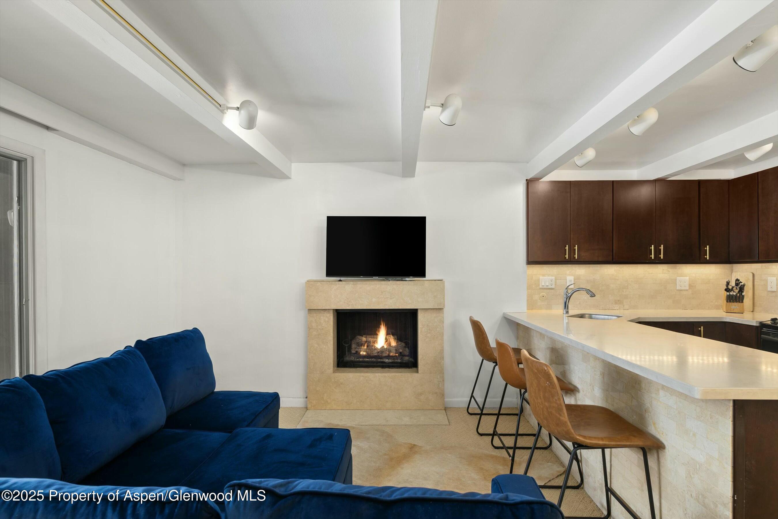 601 South W End Street, Unit 7 Aspen, CO 81611 - Photo 4 of 13 a living room with furniture and a flat screen tv