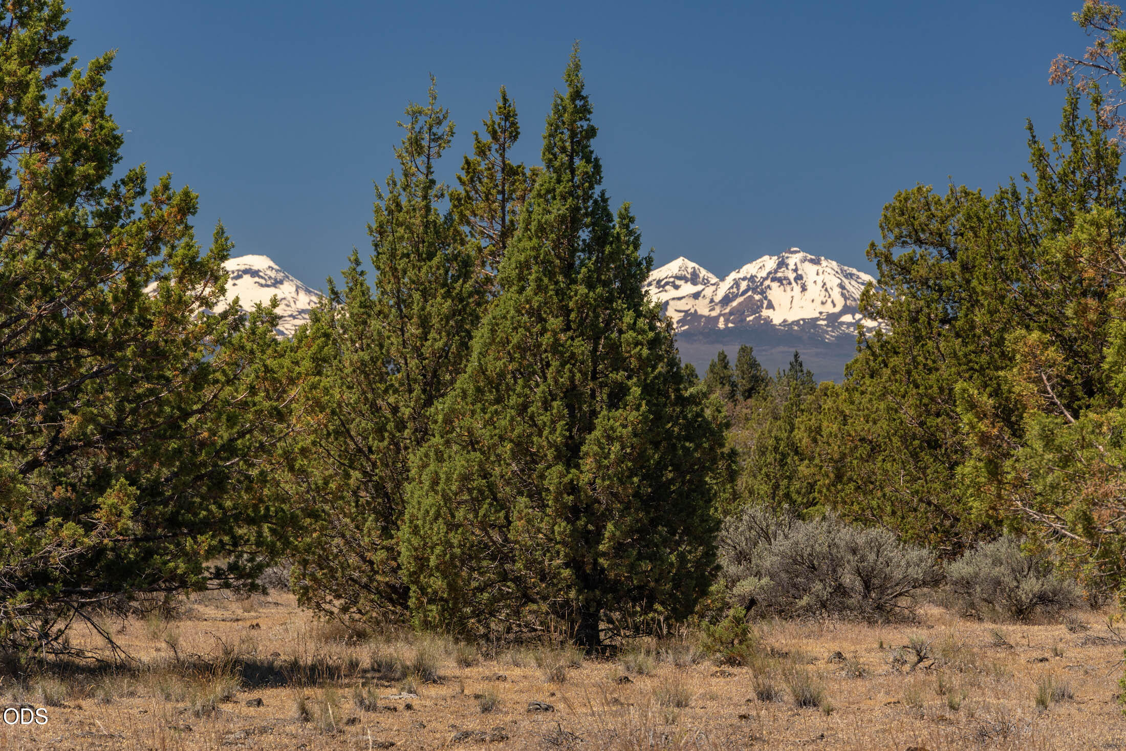 0 Southwest Blue Jay Road Terrebonne, OR 97760 - Photo 1 of 14