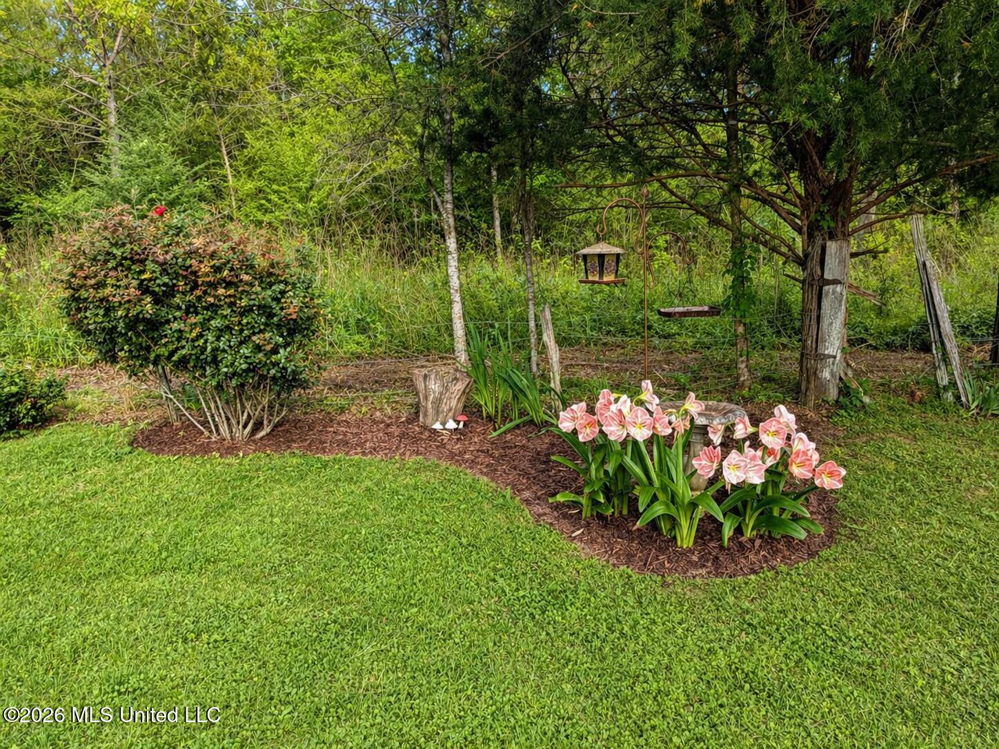 388 Padgett Road Magee, MS 39111 - Photo 32 of 33 B2F71A19-237C-4D7E-A0B6-FAB366B0787C