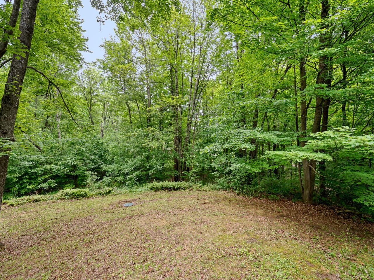 1128 Hardscrabble Road Bristol, VT 05443 - Photo 49 of 60