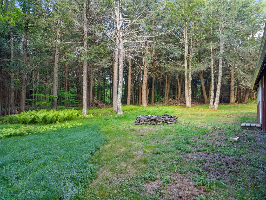 202 Blakesley Road Conesville, NY 12076 - Photo 28 of 46