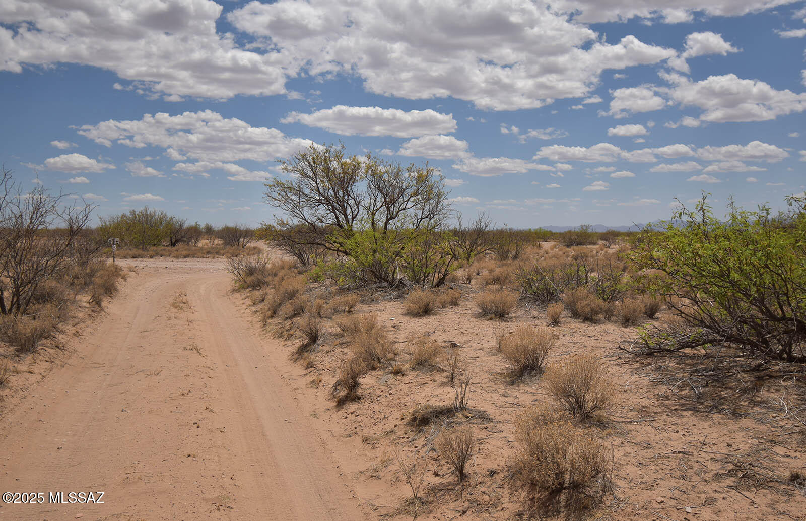 2.7-ac West Austin Henely Road, Unit 706 Elfrida, AZ 85610 - Photo 13 of 17