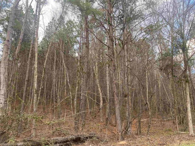 $59,900 | 9 Rose Creek Road, Selmer, TN 38375