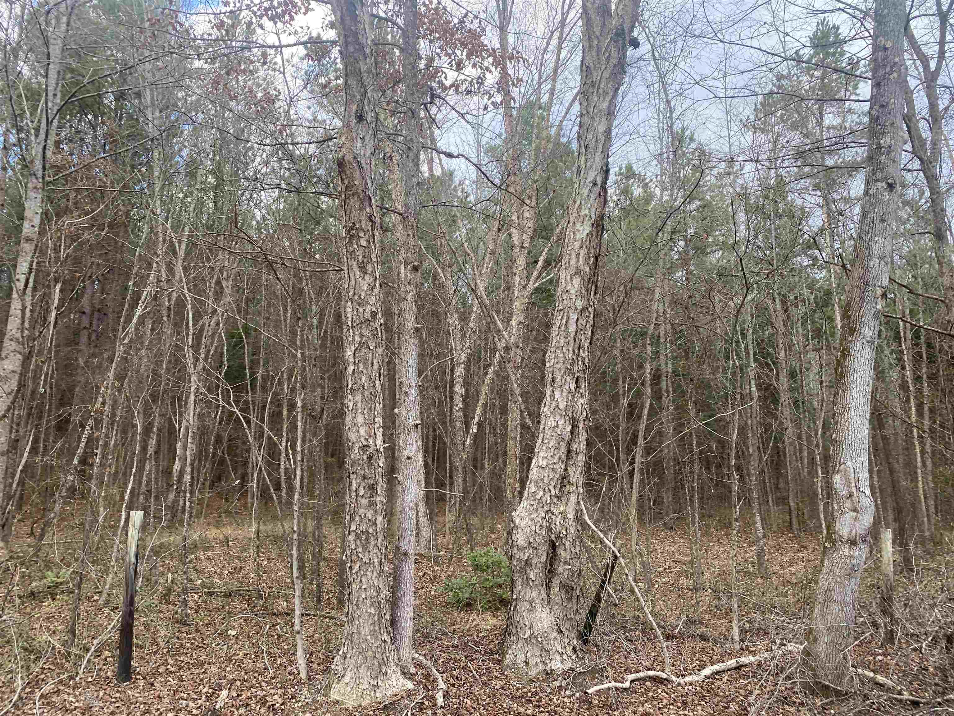 9 Rose Creek Road Selmer, TN 38375 - Photo 5 of 8