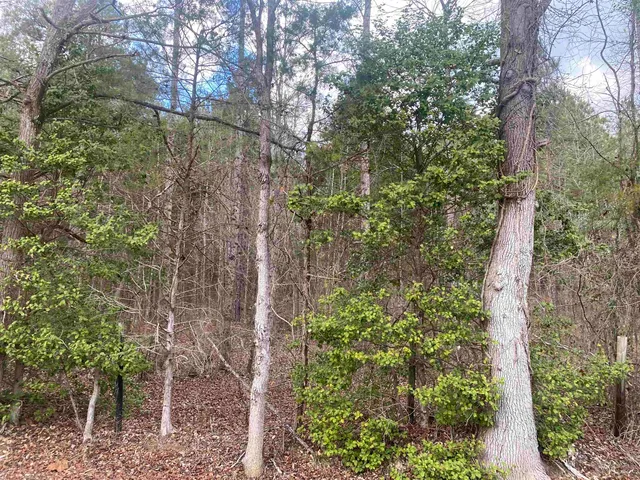 $59,900 | 9 Rose Creek Road, Selmer, TN 38375