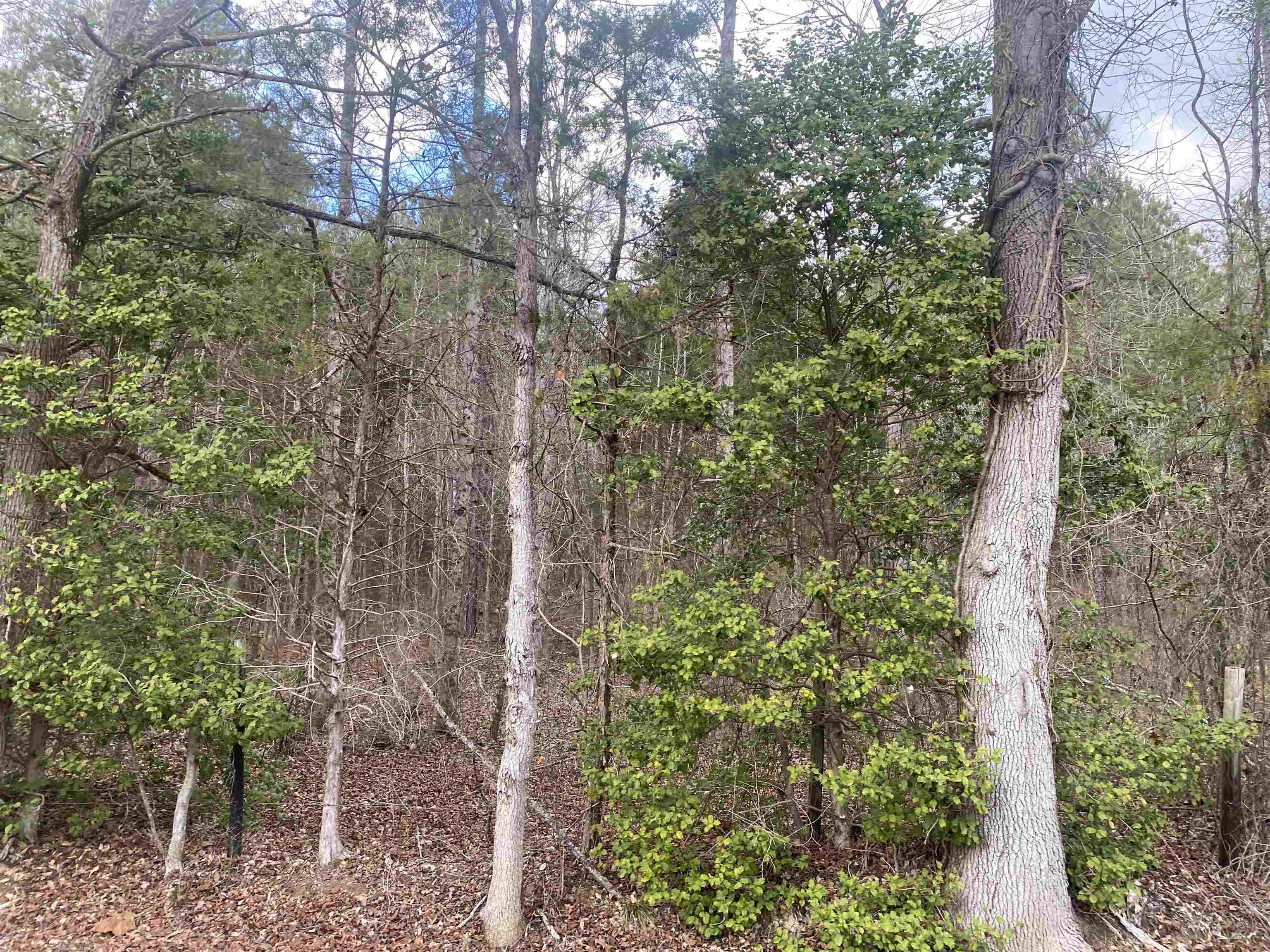 9 Rose Creek Road Selmer, TN 38375 - Photo 7 of 8