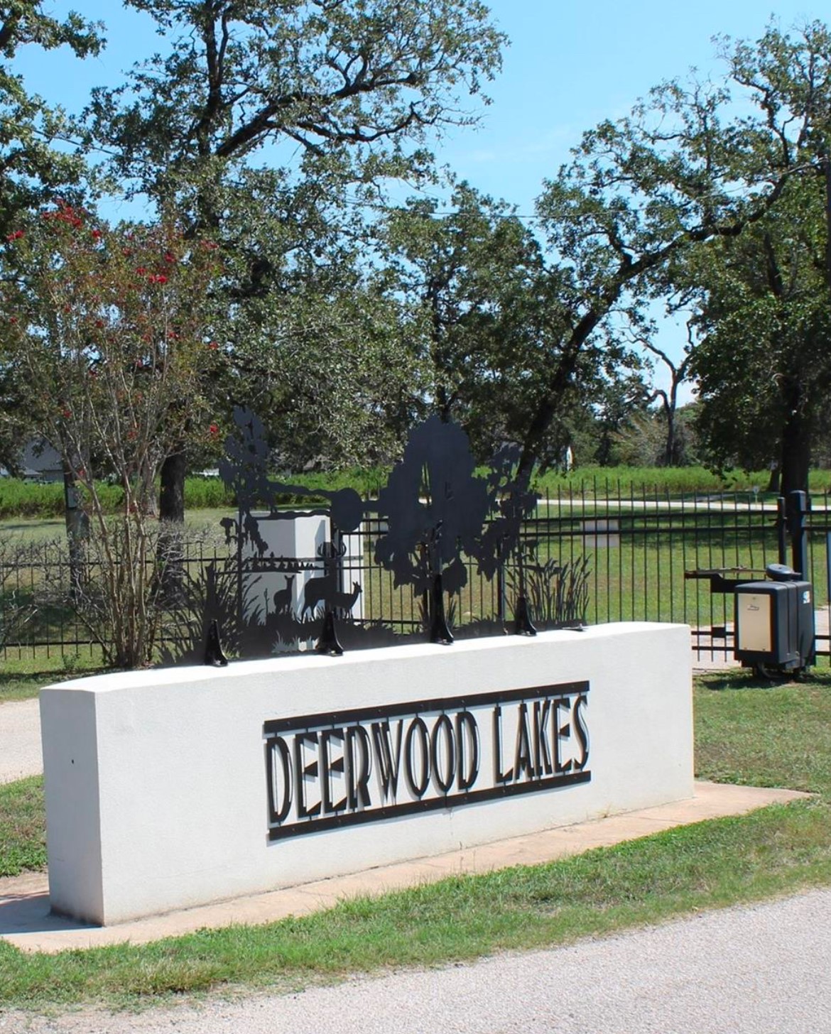 a view of park with bench and trees