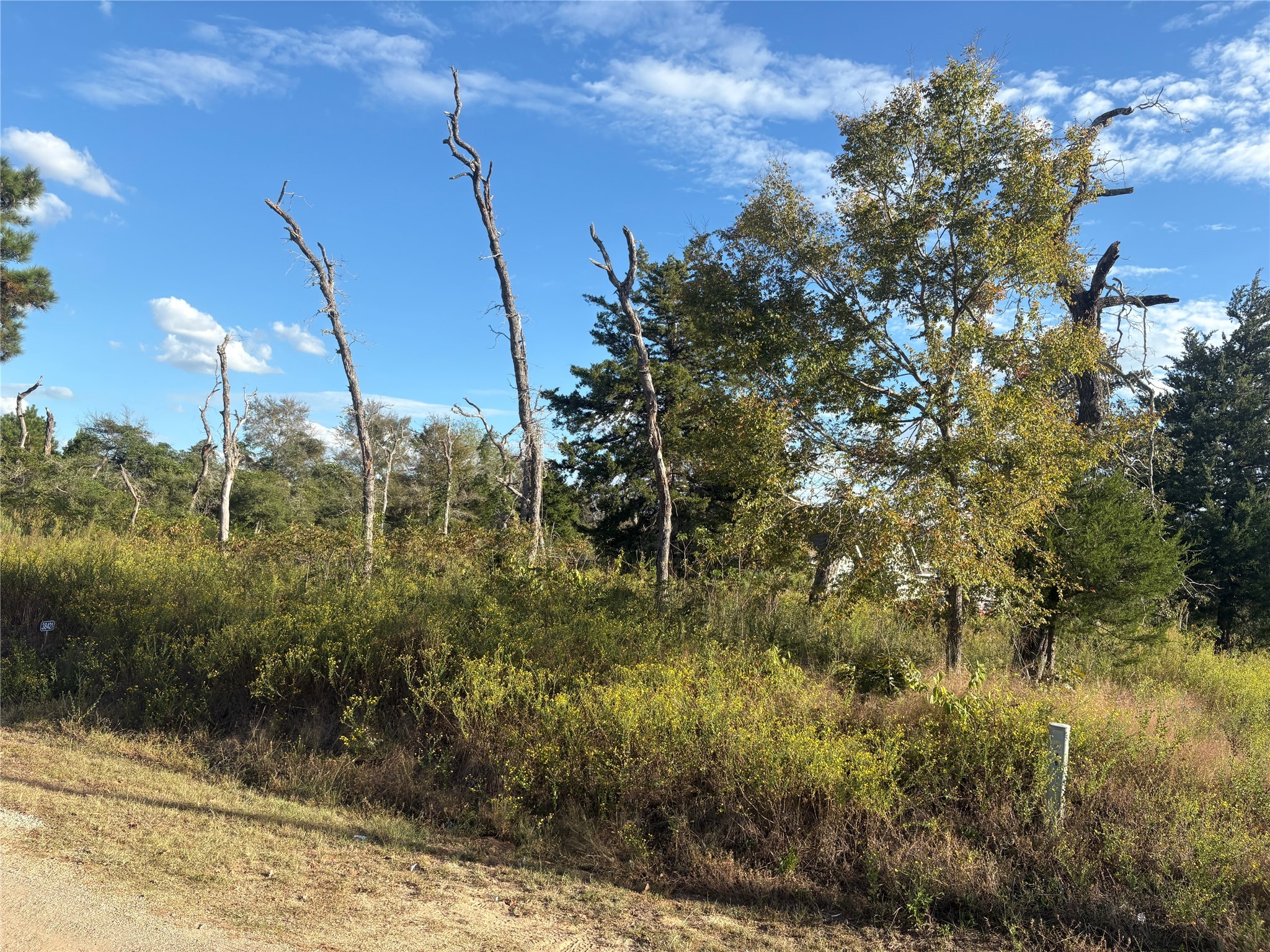 38417 Park View Drive Hempstead, TX 77445 - Photo 11 of 26 a view of a yard