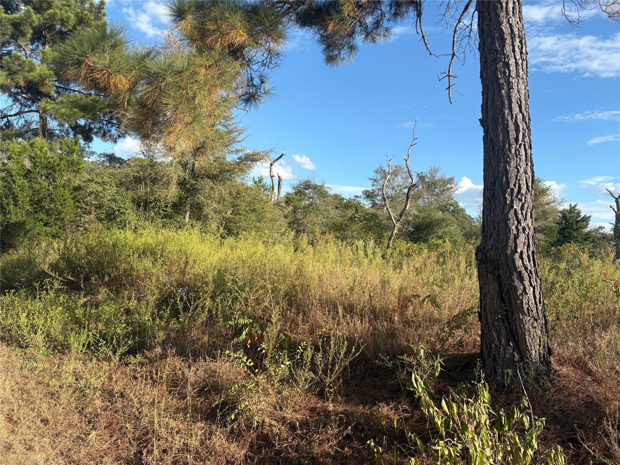 38417 Park View Drive Hempstead, TX 77445 - Photo 13 of 26 a view of lake