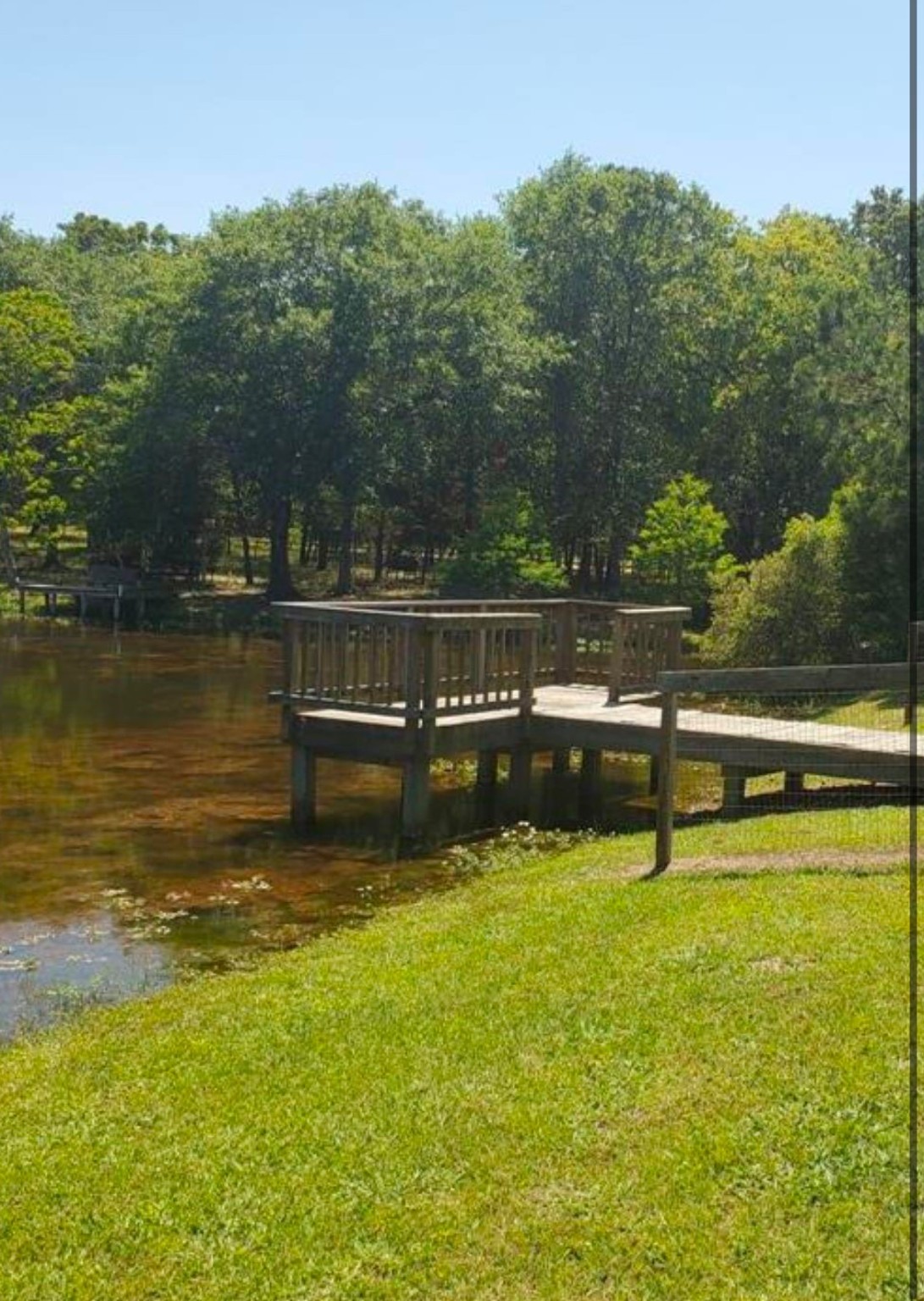 38417 Park View Drive Hempstead, TX 77445 - Photo 16 of 26 a view of a swimming pool with a lake