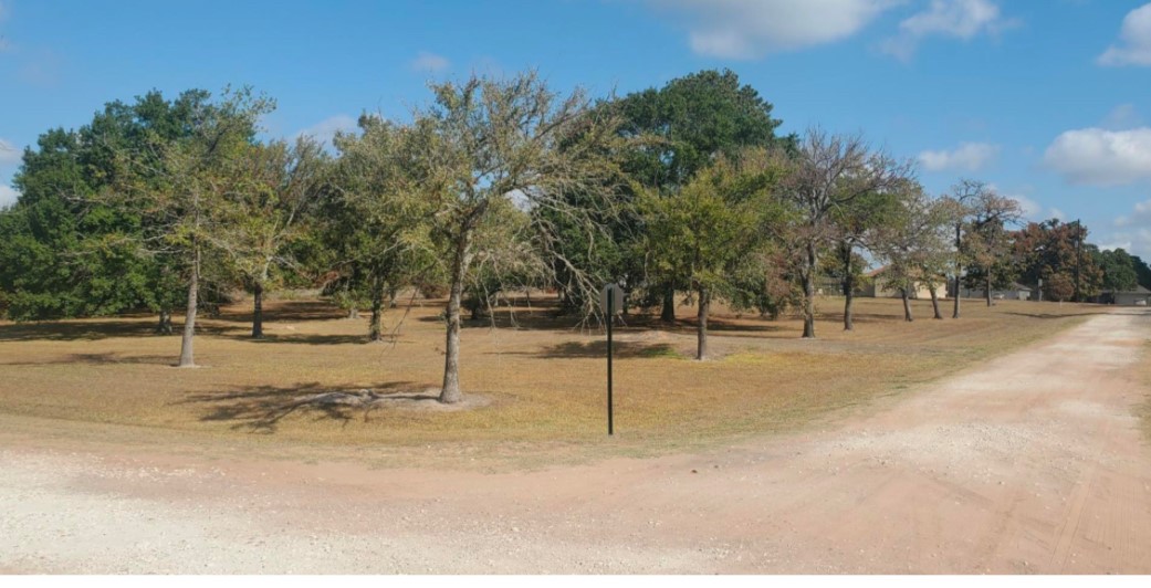 38417 Park View Drive Hempstead, TX 77445 - Photo 19 of 26 a view of outdoor space with trees