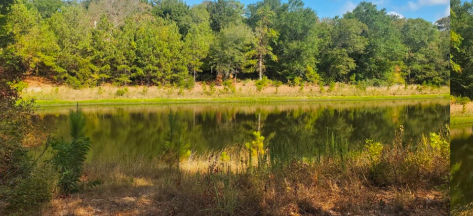 38417 Park View Drive Hempstead, TX 77445 - Photo 20 of 26 a view of lake from a yard