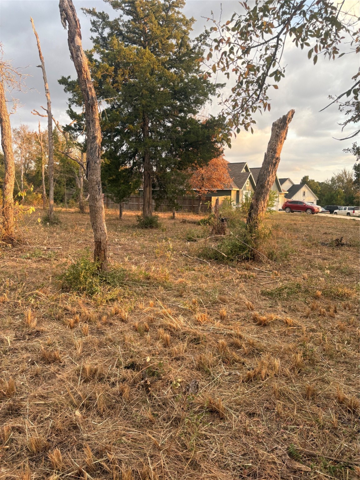 38417 Park View Drive Hempstead, TX 77445 - Photo 22 of 26 a view of a yard with trees