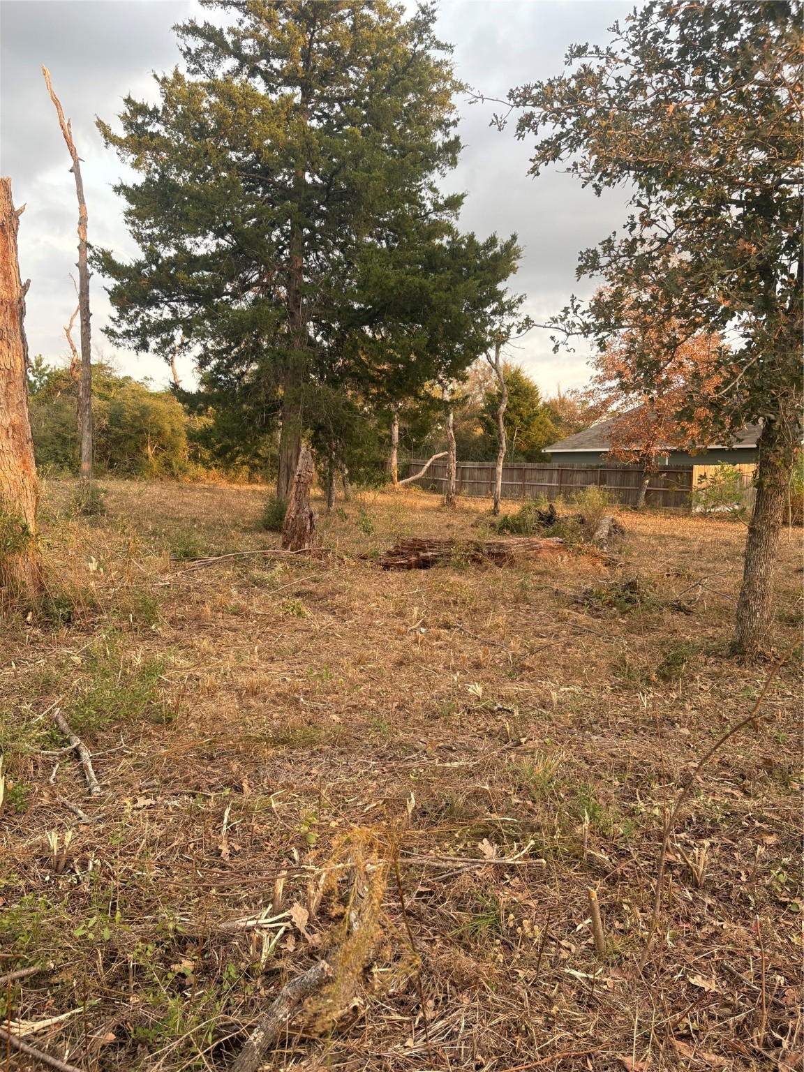 38417 Park View Drive Hempstead, TX 77445 - Photo 23 of 26 a backyard of a house with lots of green space