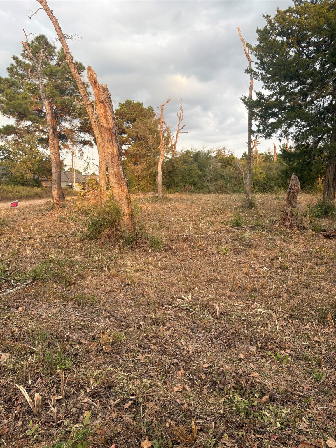 38417 Park View Drive Hempstead, TX 77445 - Photo 24 of 26 a view of a yard with an trees