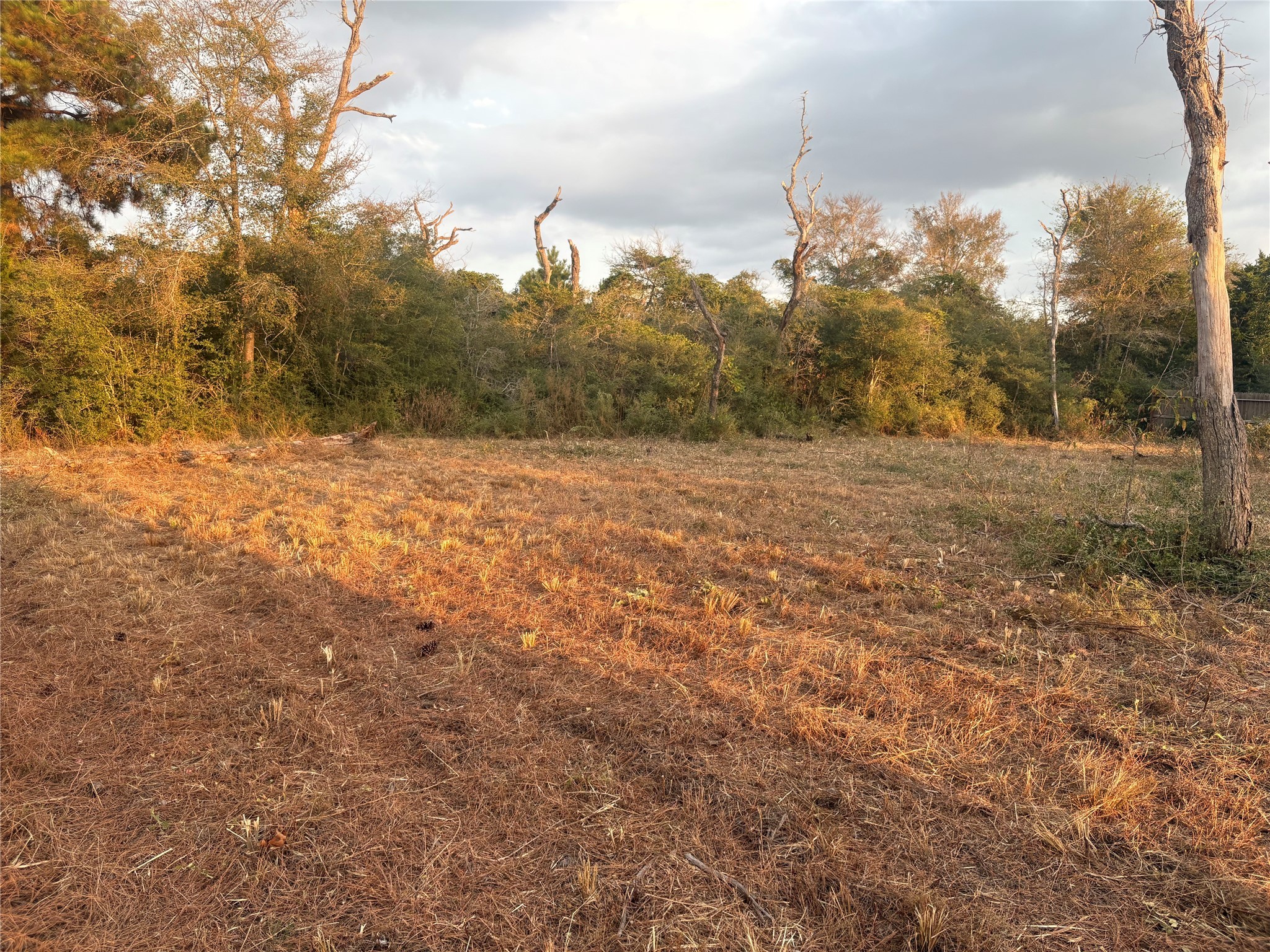 38417 Park View Drive Hempstead, TX 77445 - Photo 4 of 26 a big yard with lots of green space