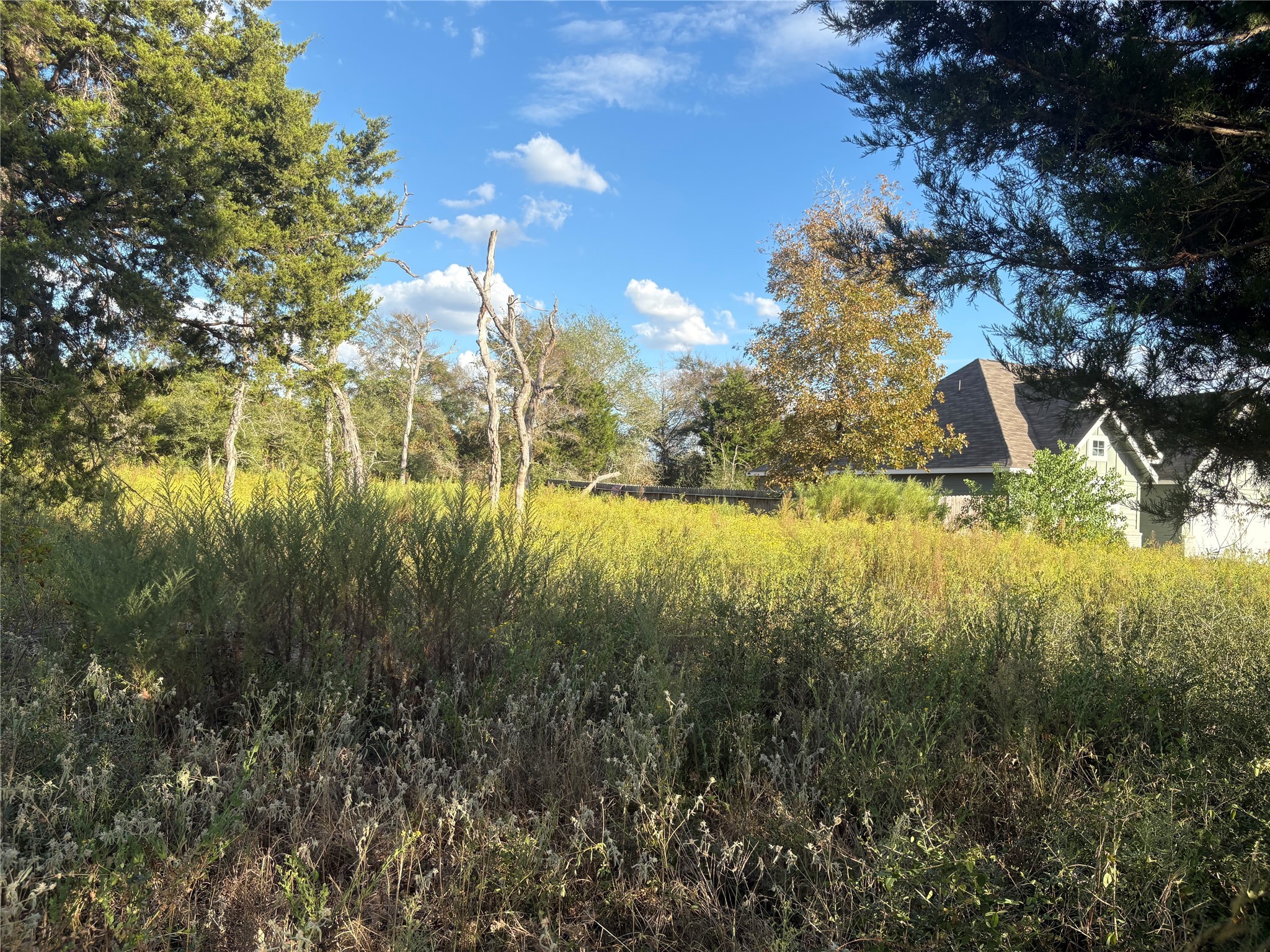 38417 Park View Drive Hempstead, TX 77445 - Photo 5 of 26 a view of a lake with a yard