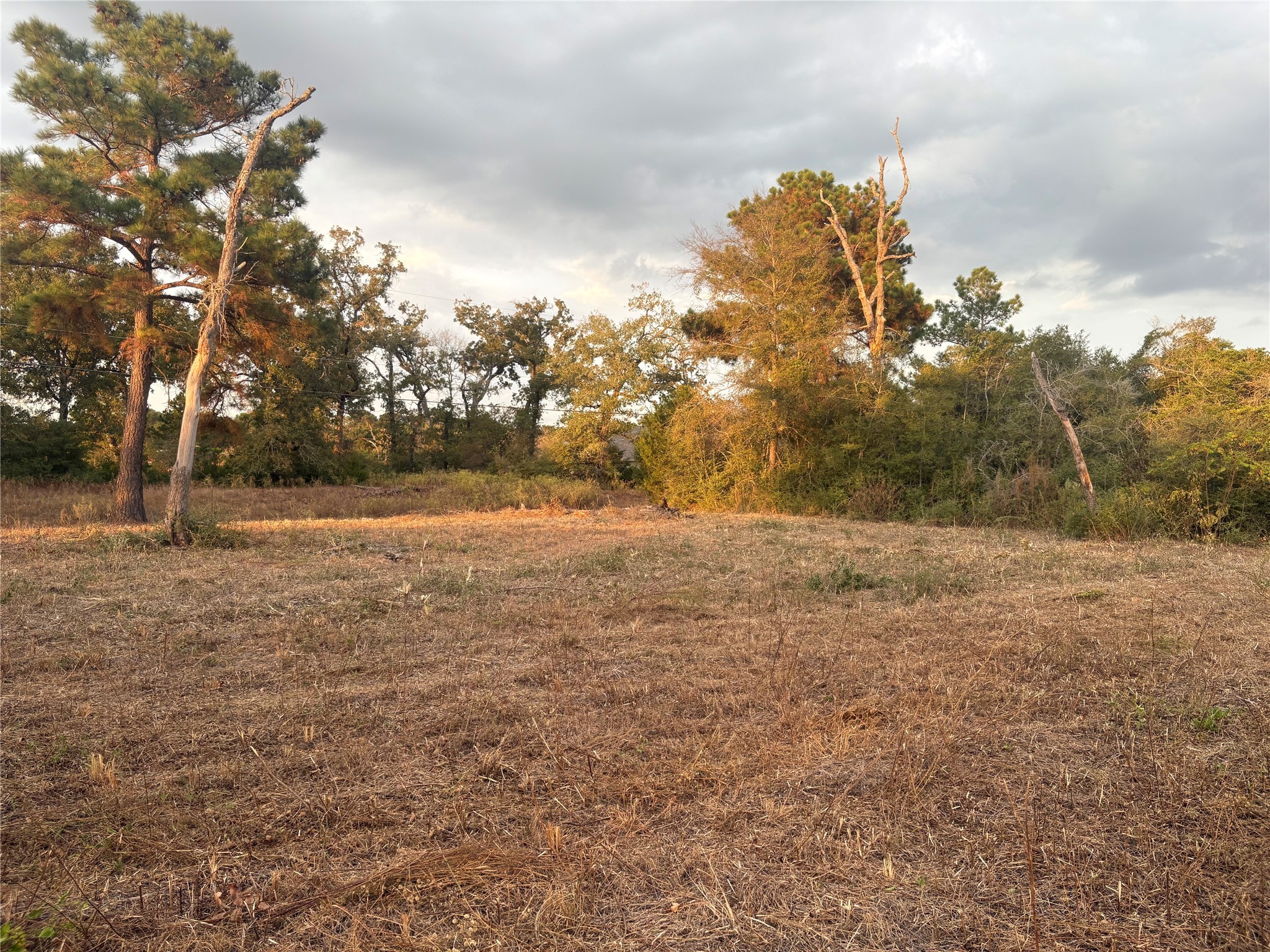 38417 Park View Drive Hempstead, TX 77445 - Photo 6 of 26 a view of outdoor space with yard