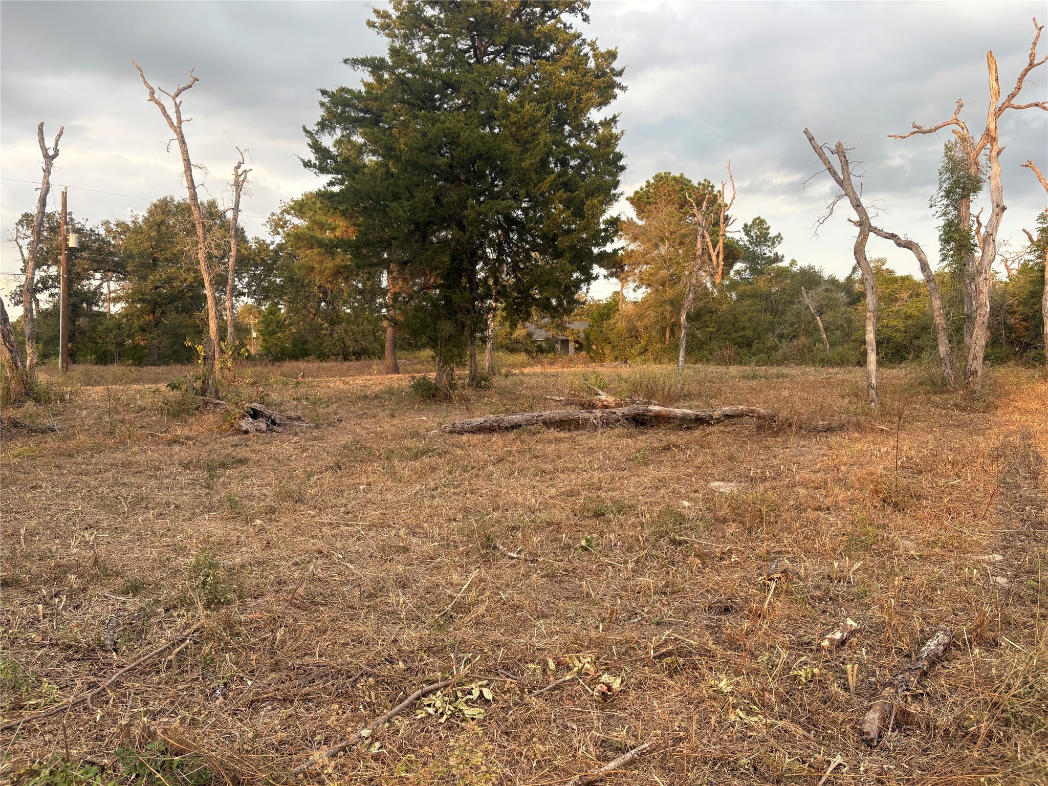 38417 Park View Drive Hempstead, TX 77445 - Photo 8 of 26 a view of dirt yard with trees
