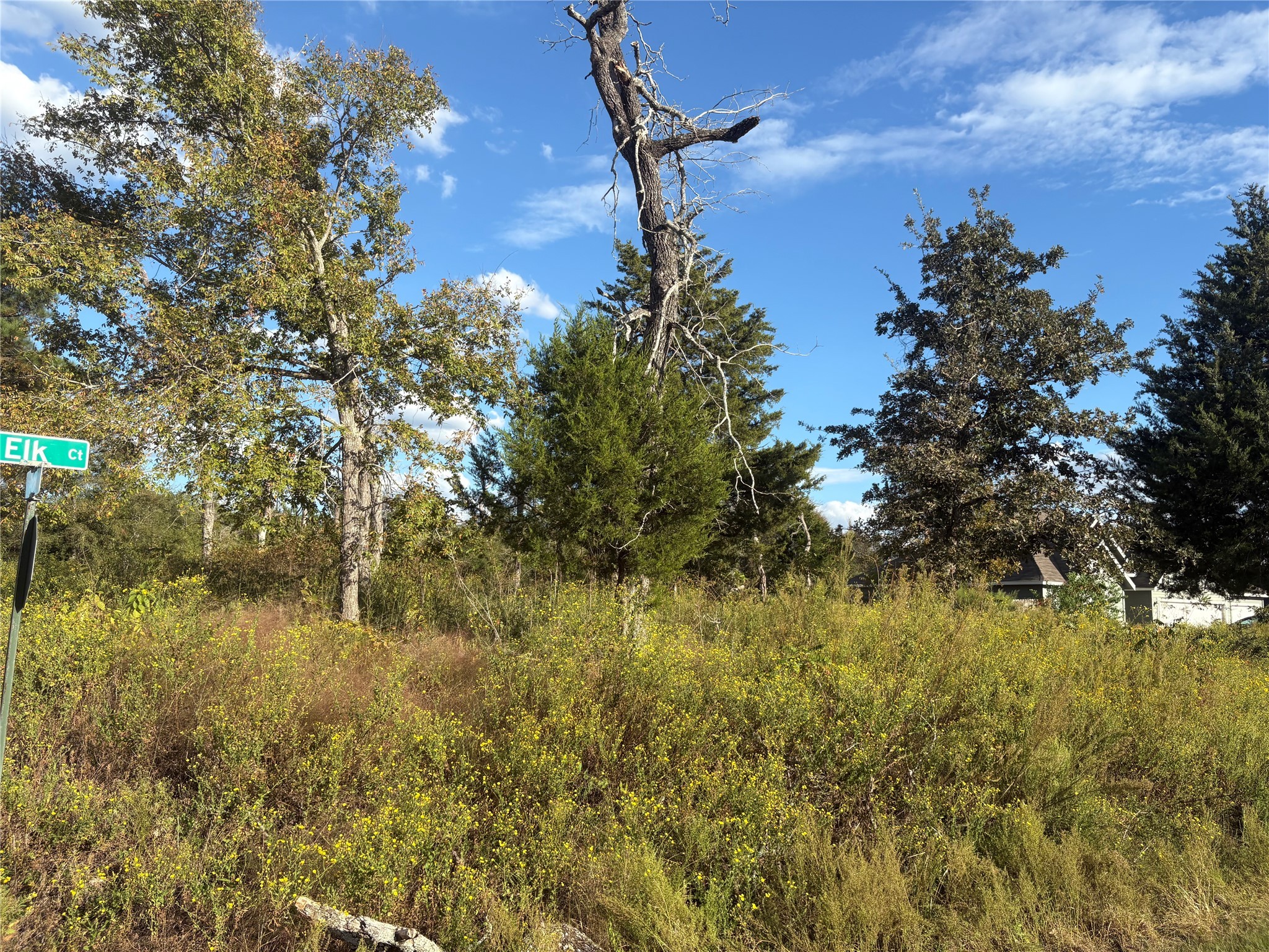 38417 Park View Drive Hempstead, TX 77445 - Photo 9 of 26 a view of a lake