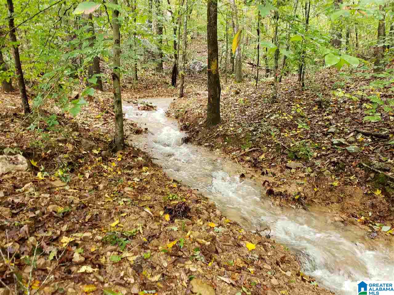 2260 Whites Gap Road Jacksonville, AL 36265 - Photo 6 of 25